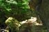 10762-021_DXO vergrssern