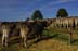 10880-008_DxO vergrssern