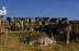 10880-011_DxO vergrssern