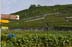 10887-019_DxO vergrssern