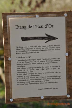 11519-025-ok