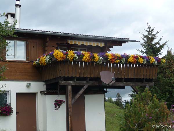 P10595a-Chalet-mit-Blumen