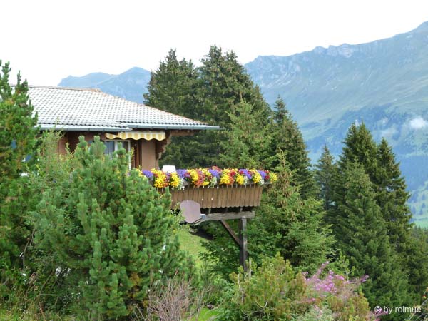 P10596-Chalet-mit-Blumen