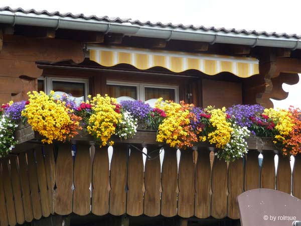 P10596a-Blumenschmuck