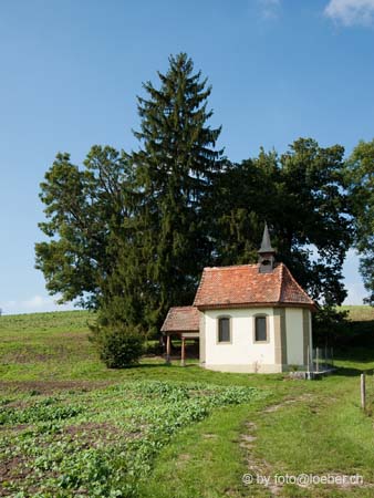 11617-095-NEF-cs4