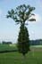 11617-023-NEF-cs4