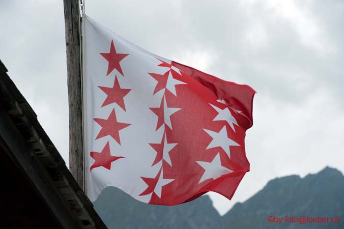 11832-004-NEF-cs4