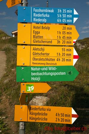 11832-200-NEF-cs4